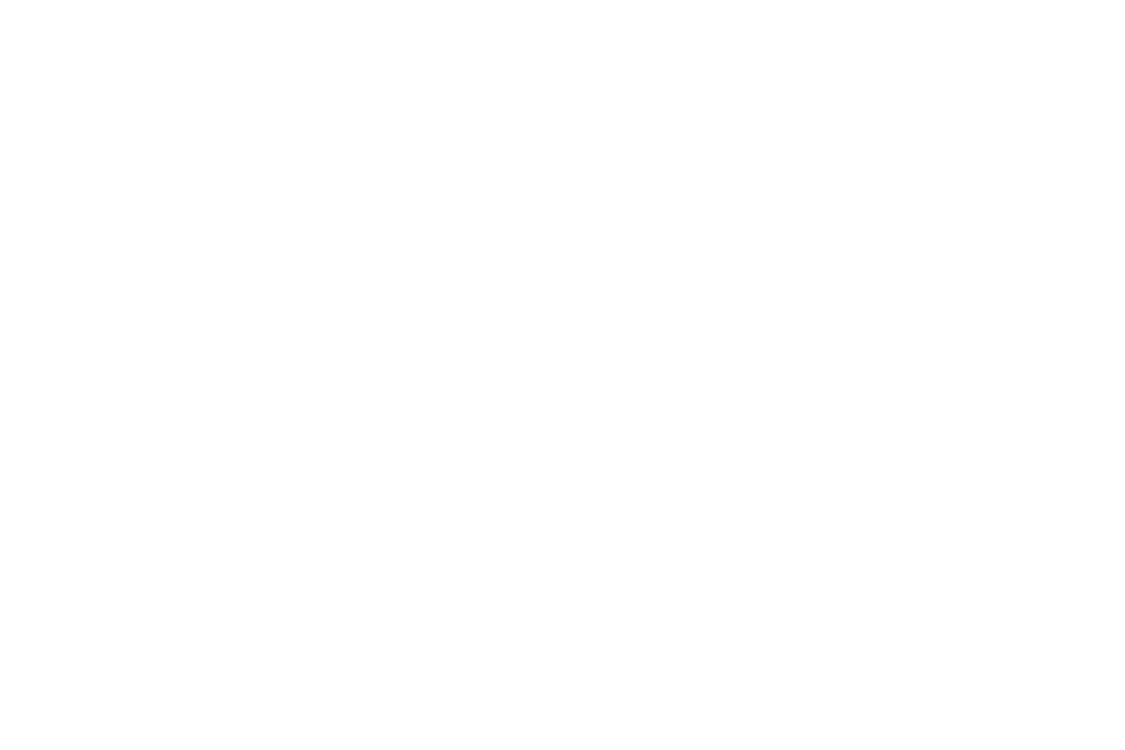 ripoon.teqnifysolutions.com